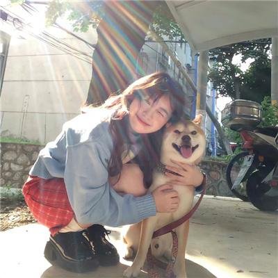 实习警犬物语
